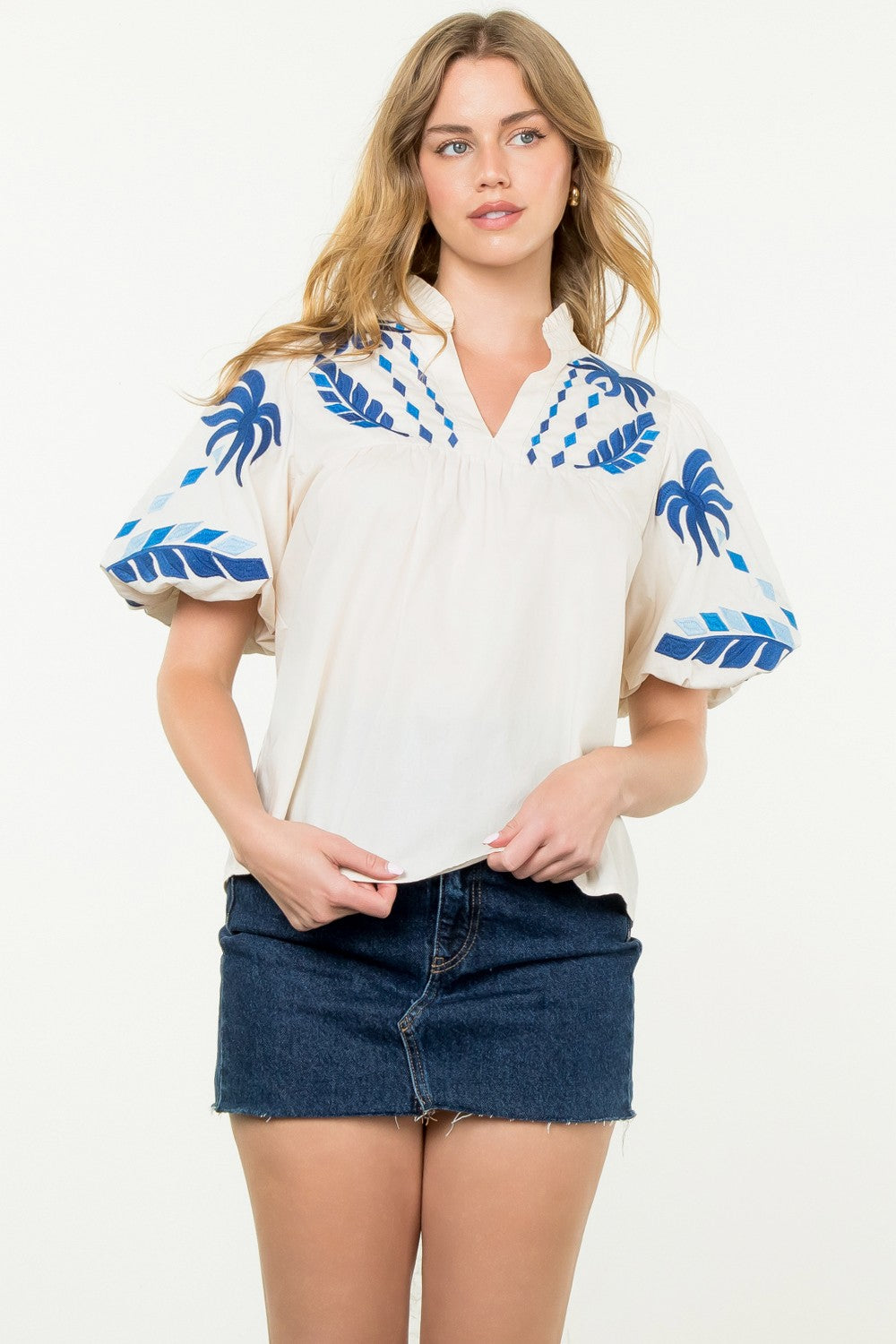 Puff Sleeve Embroidered V-Neck Top