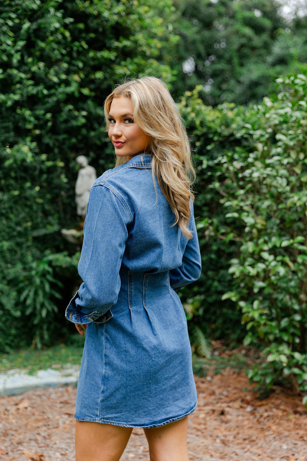 Zae Denim Mini Dress