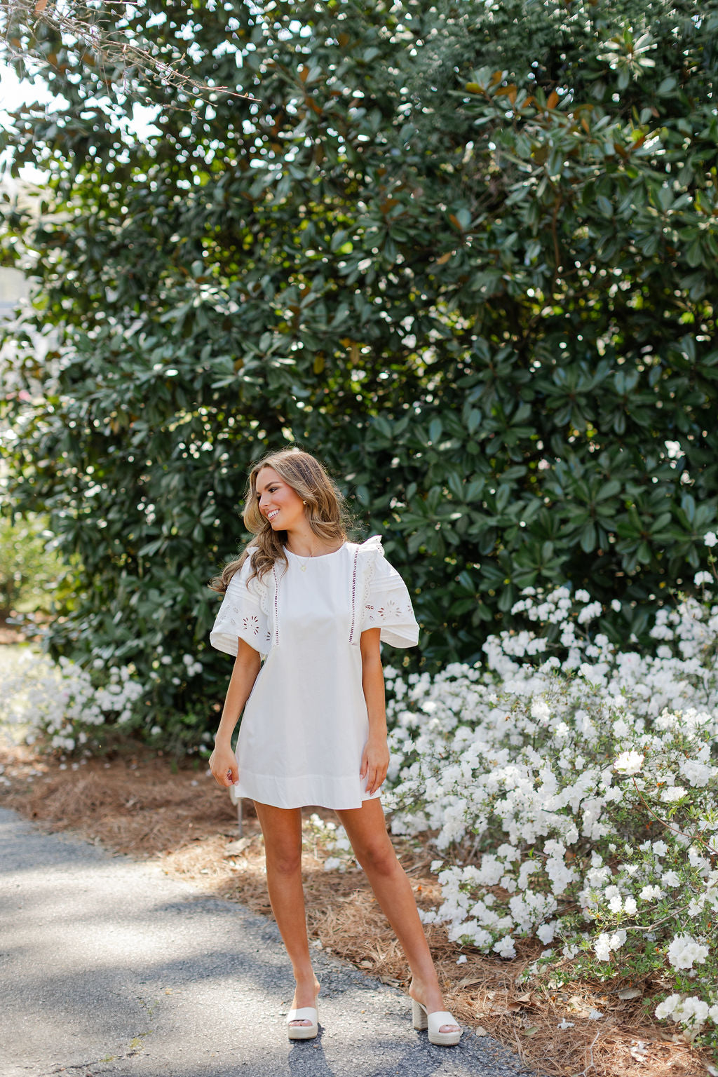 Embroidered Puff Sleeve Mini Dress