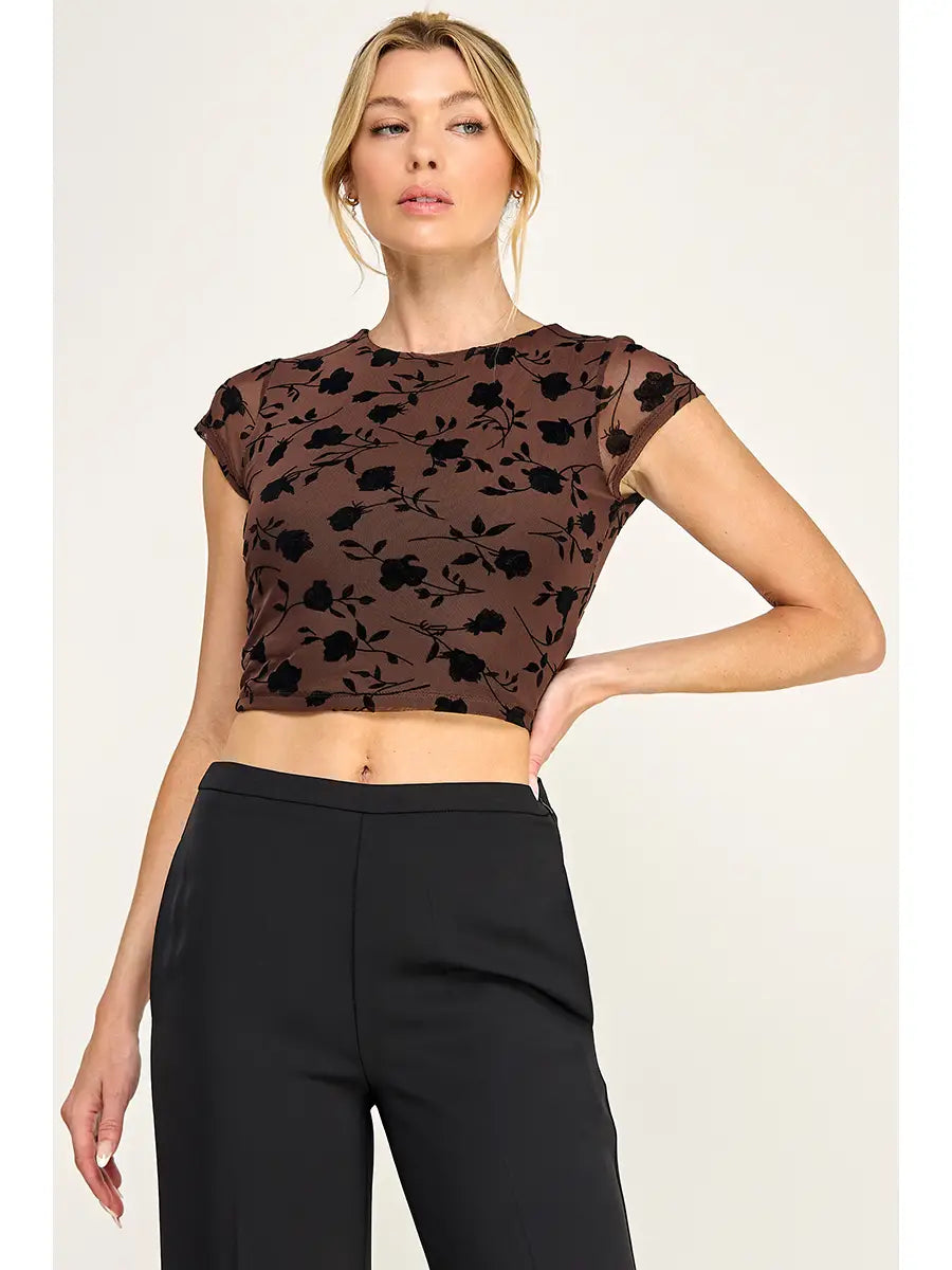 Mesh Round Neck Short Sleeve Top