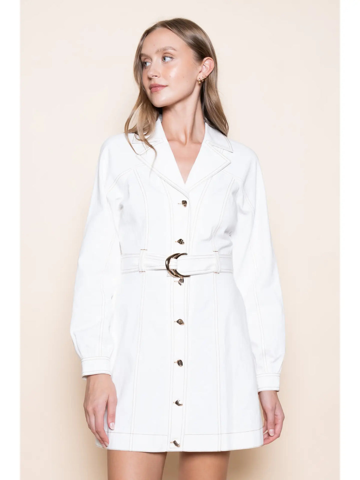 Belted Denim Dress