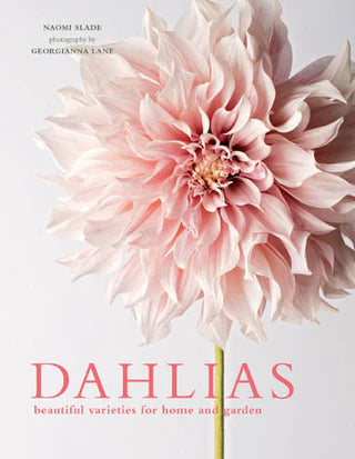 DAHLIAS