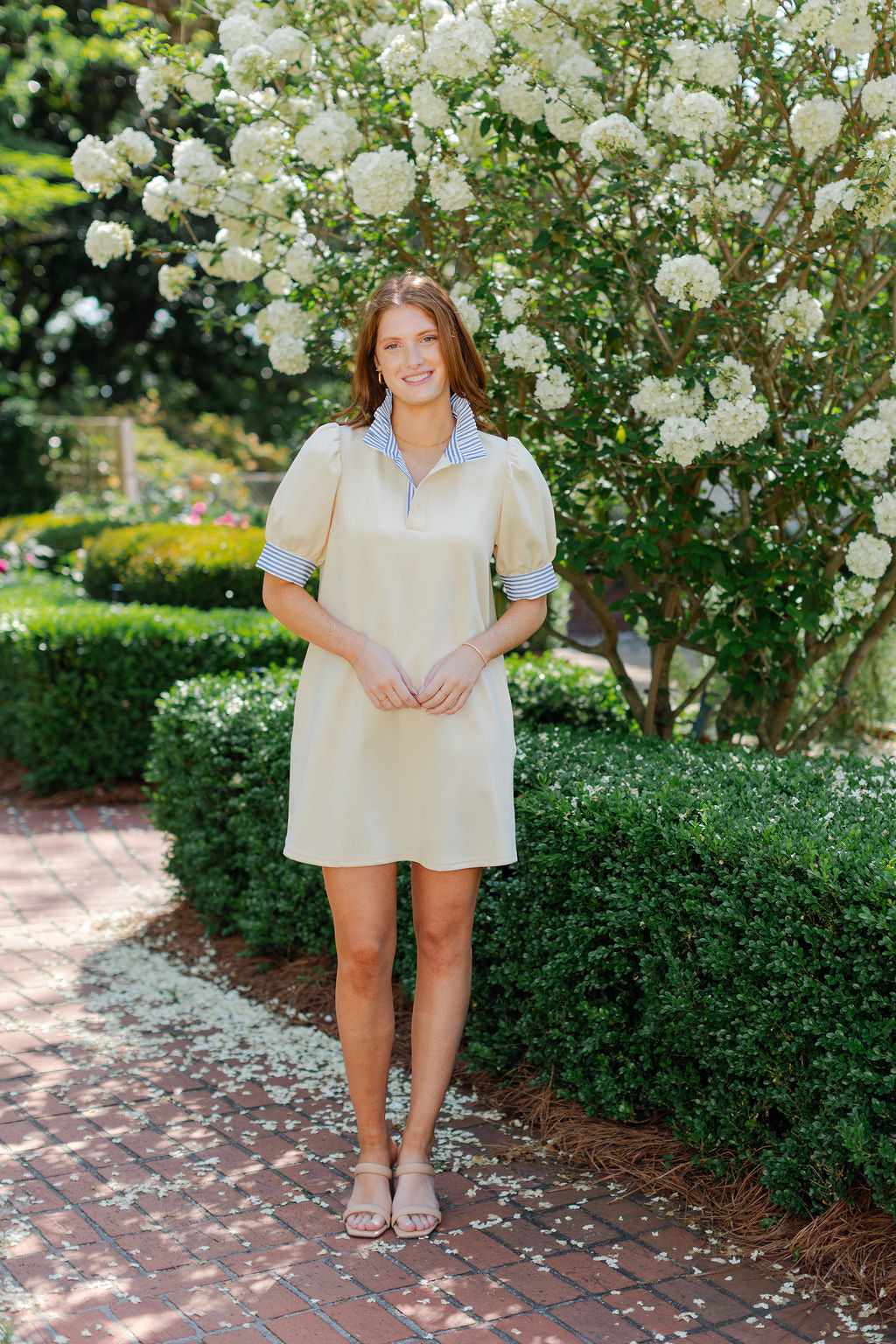 Contrasting Striped Collar Dress