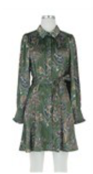 Paisley Printed Mini Shirt Dress