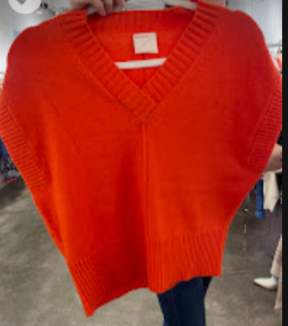 Gwyneth Vest