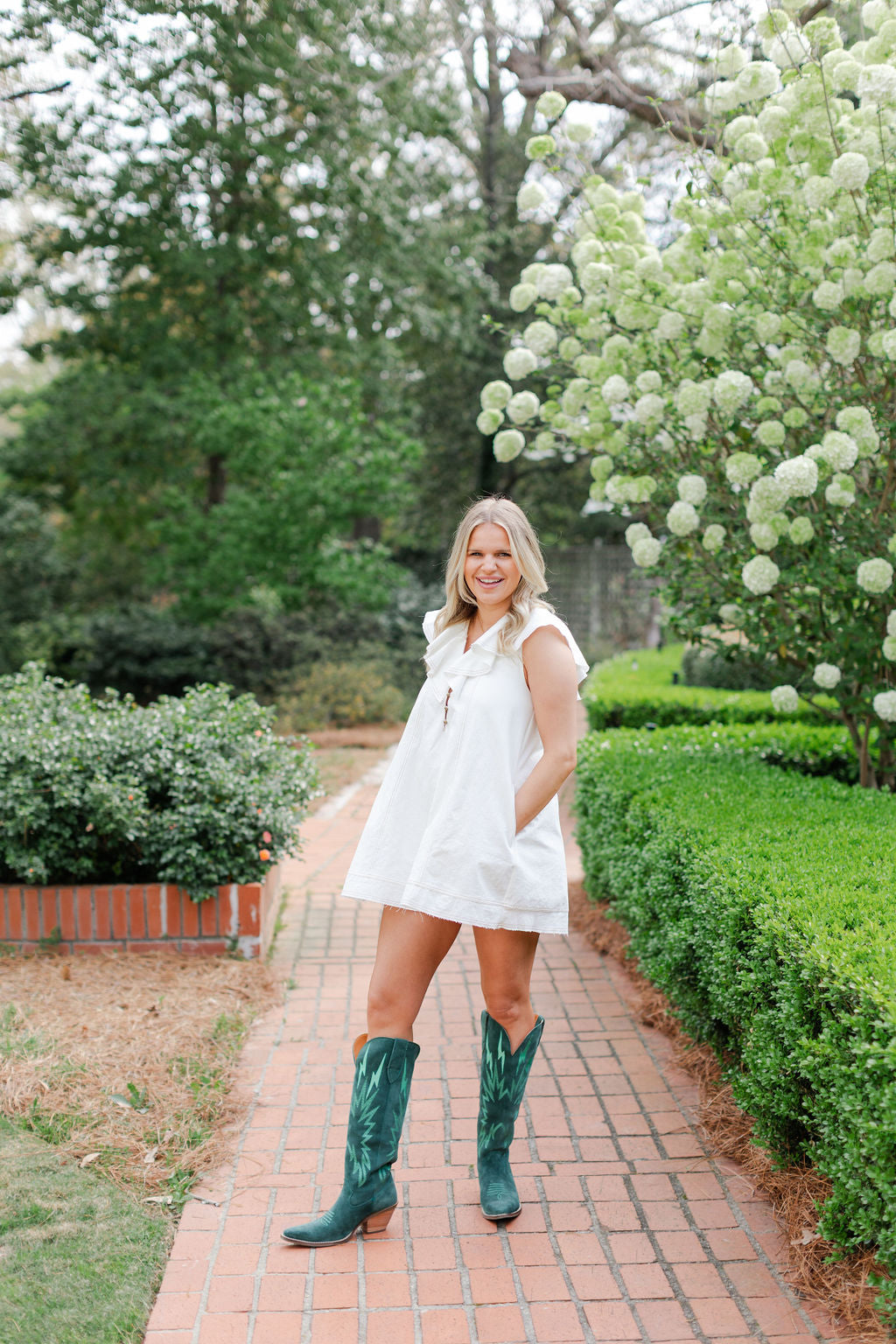 Ruffled Collar Dress