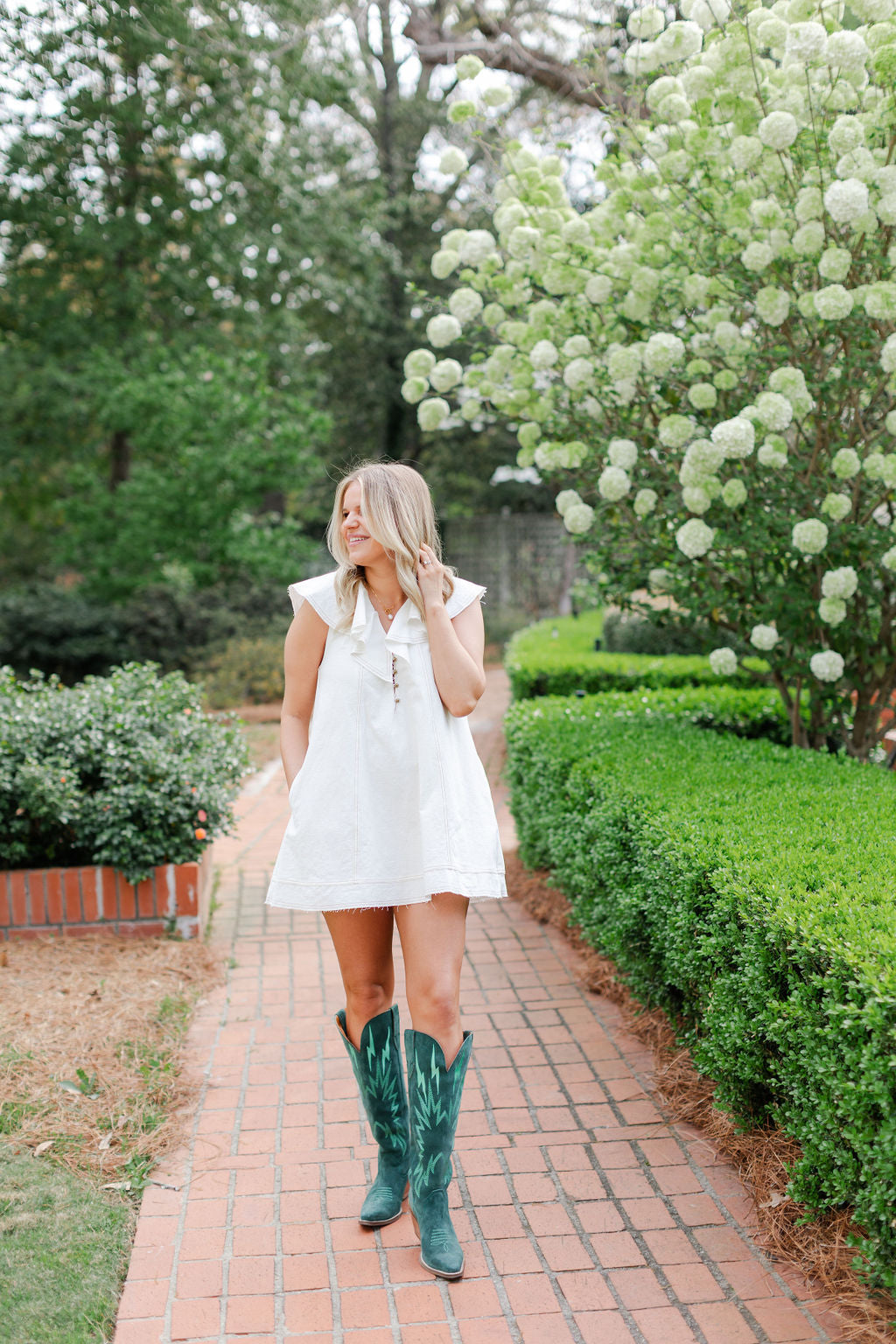 Ruffled Collar Dress