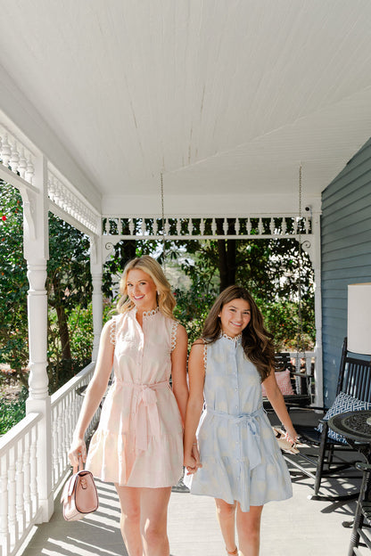 Gingham Embroidered Tie Waist Mini Dress