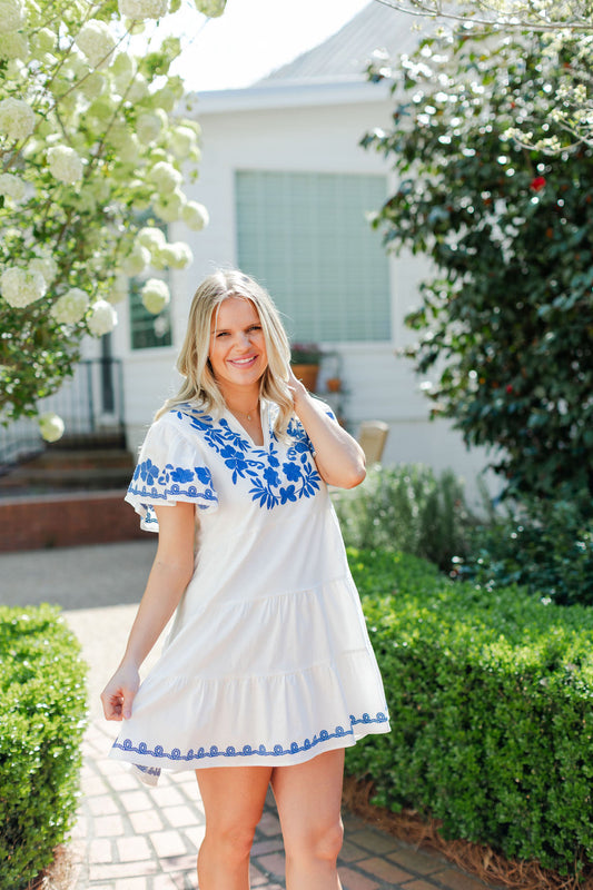 FLUTTER SLEEVE EMBROIDERED MINI DRESS