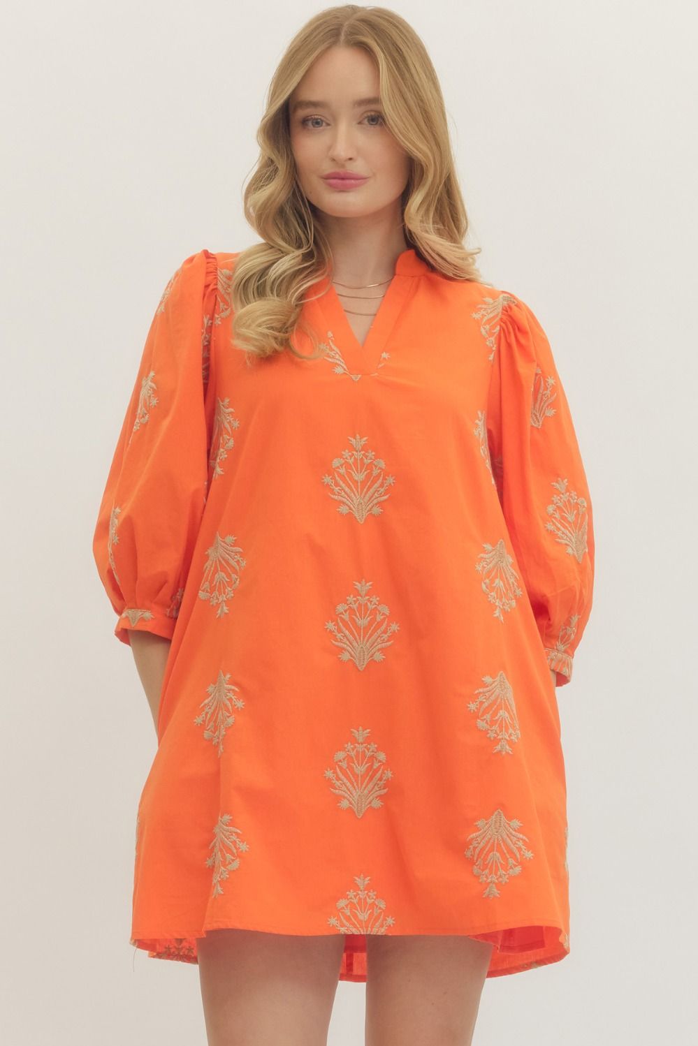 Embroidered Puff Sleeve Mini Dress