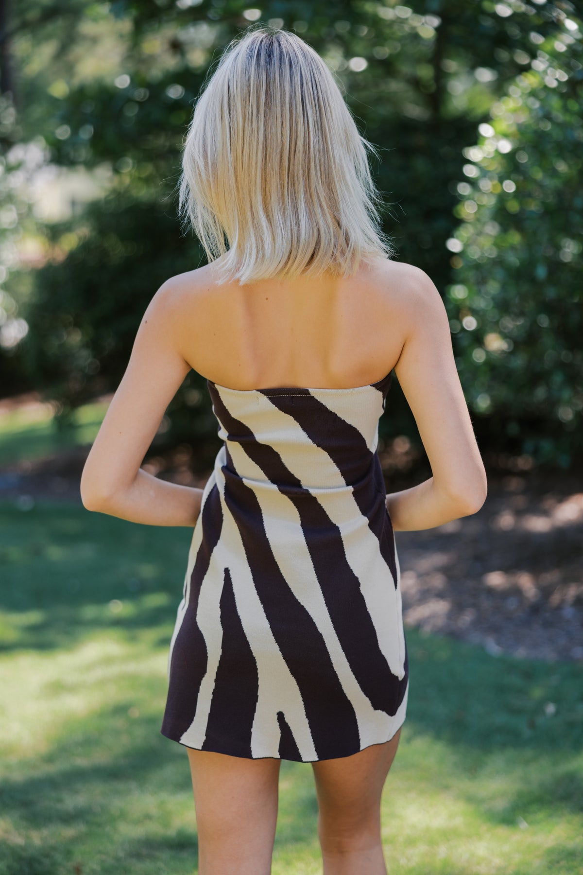 Talia Abstract Animal Print Mini Dress