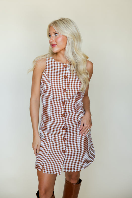 Gingham Button Front Dress