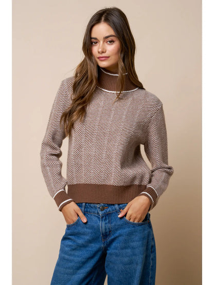 Contrast Trim Turtleneck Knit Sweater