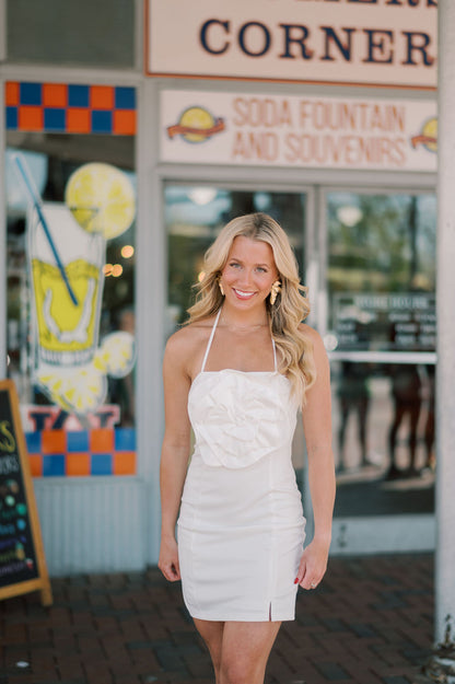 Aurora Rosette Ponte Knit Halter Mini Dress