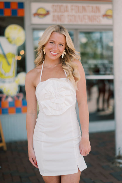 Aurora Rosette Ponte Knit Halter Mini Dress