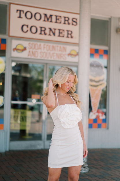 Aurora Rosette Ponte Knit Halter Mini Dress