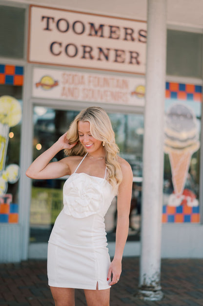 Aurora Rosette Ponte Knit Halter Mini Dress