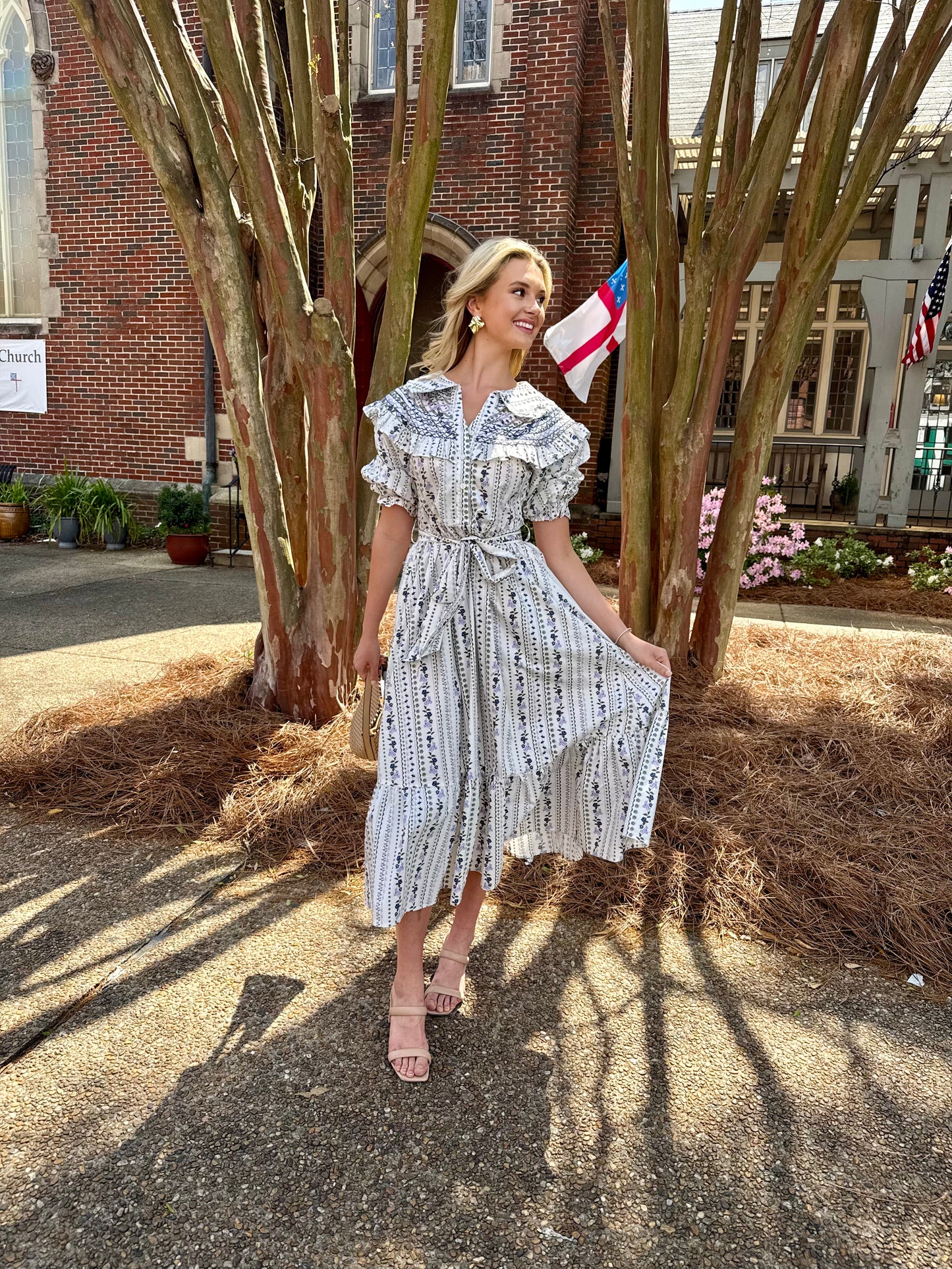 French Floral Peter Pan Tier Maxi Dress