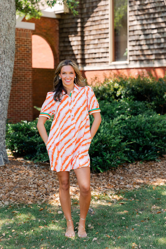 Multicolor Stripe Contrast Trim Dress