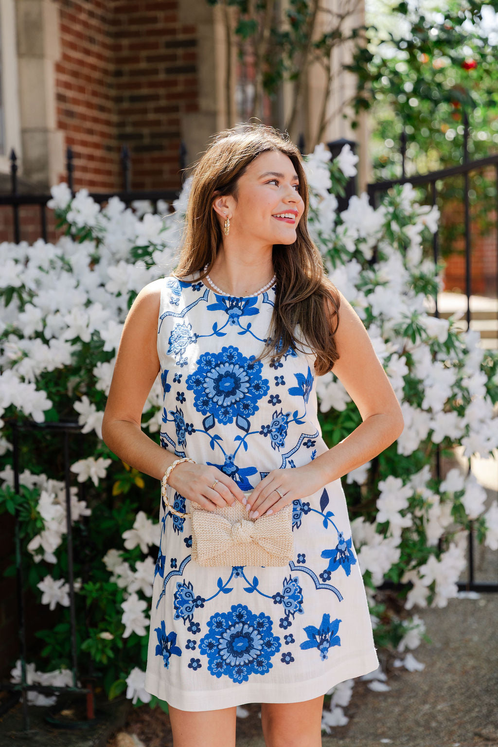 Sleeveless Embroidered Dress