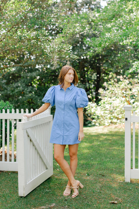 Puff Sleeve Button Up Dress