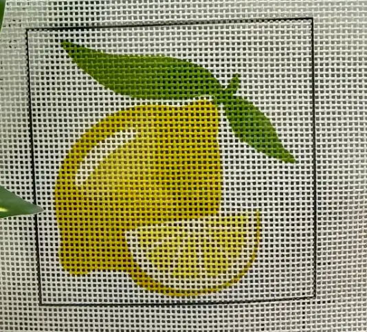Needlepoint Kit