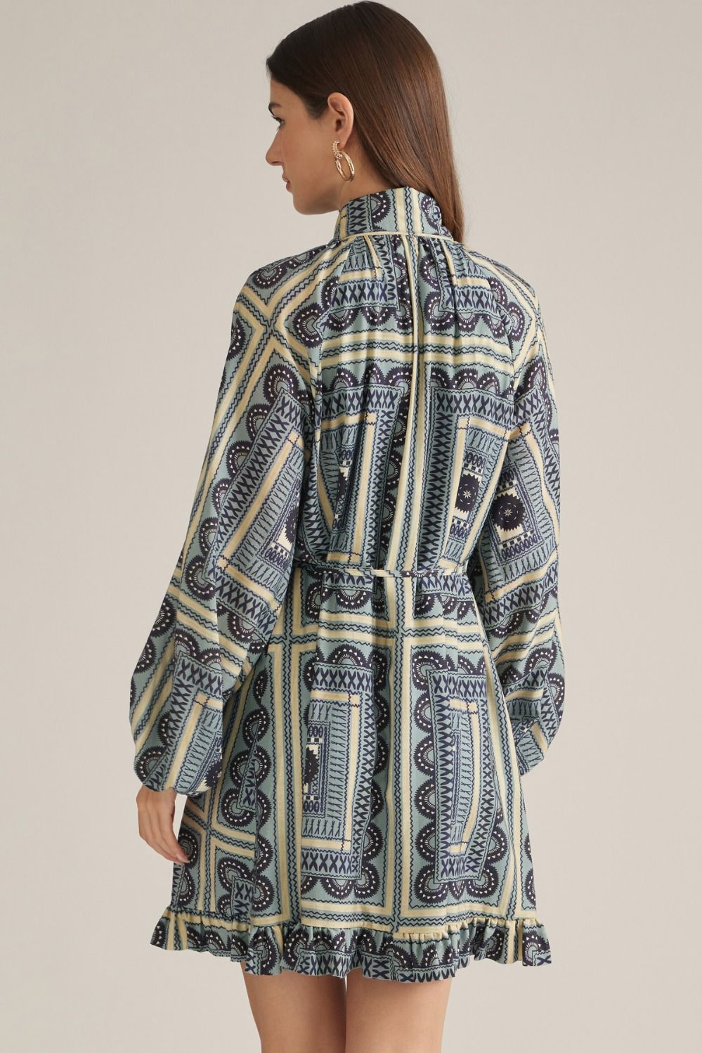 Printed Long Balloon Sleeve Mini Dress