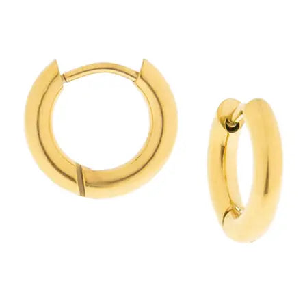 Stainless Hinged Hoop