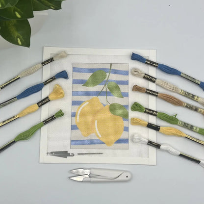 Needlepoint Kit