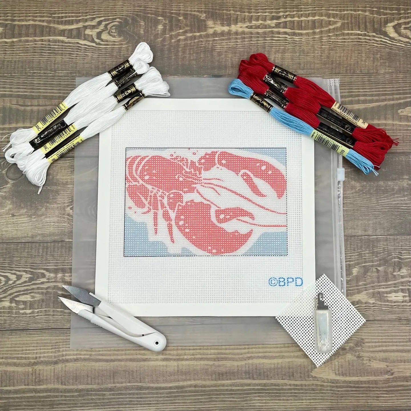 Needlepoint Kit